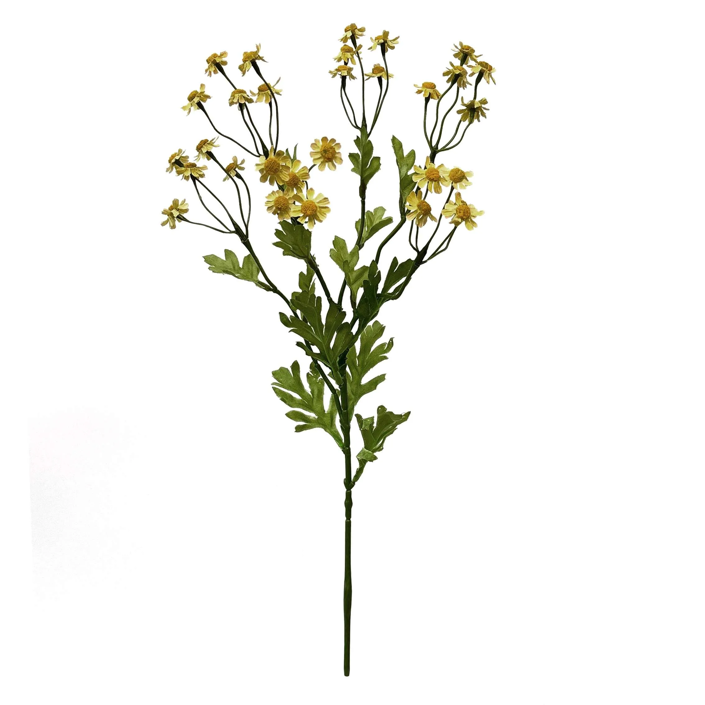Satu daisy kecil