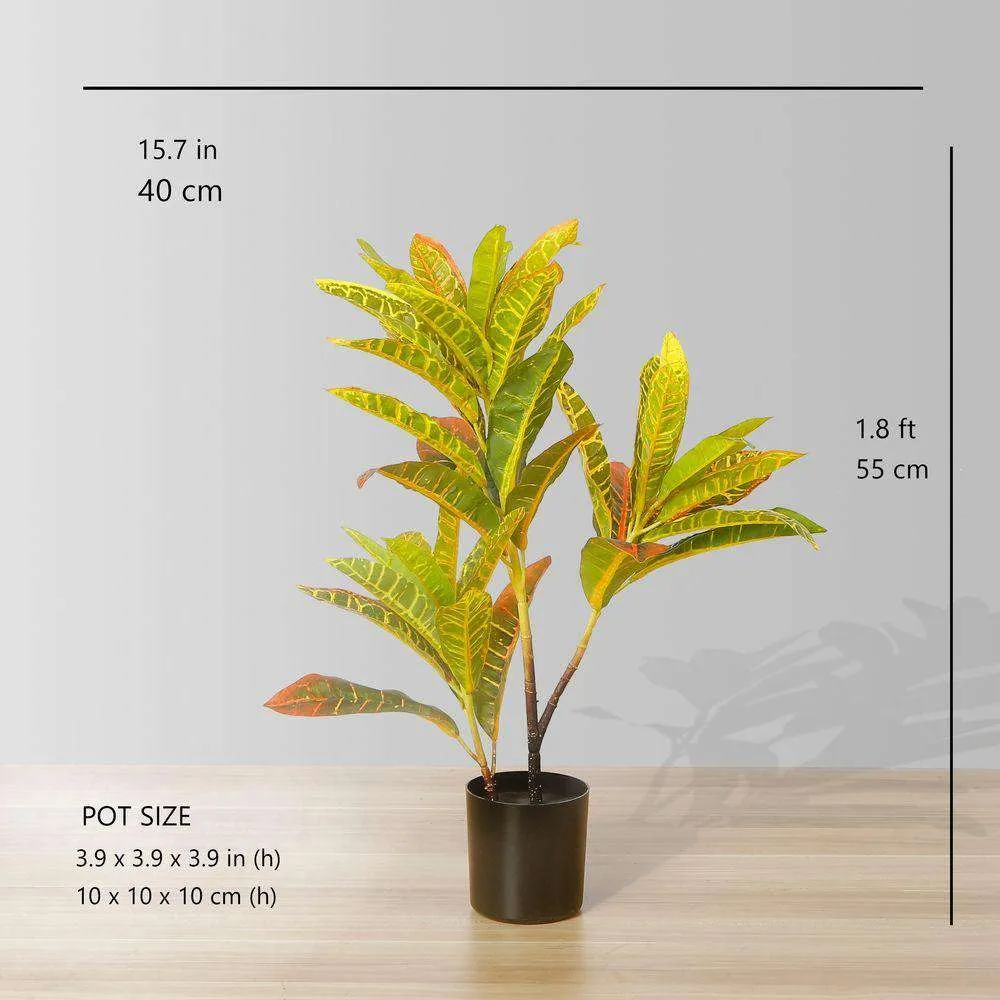 Tanaman Potted Crotons Buatan