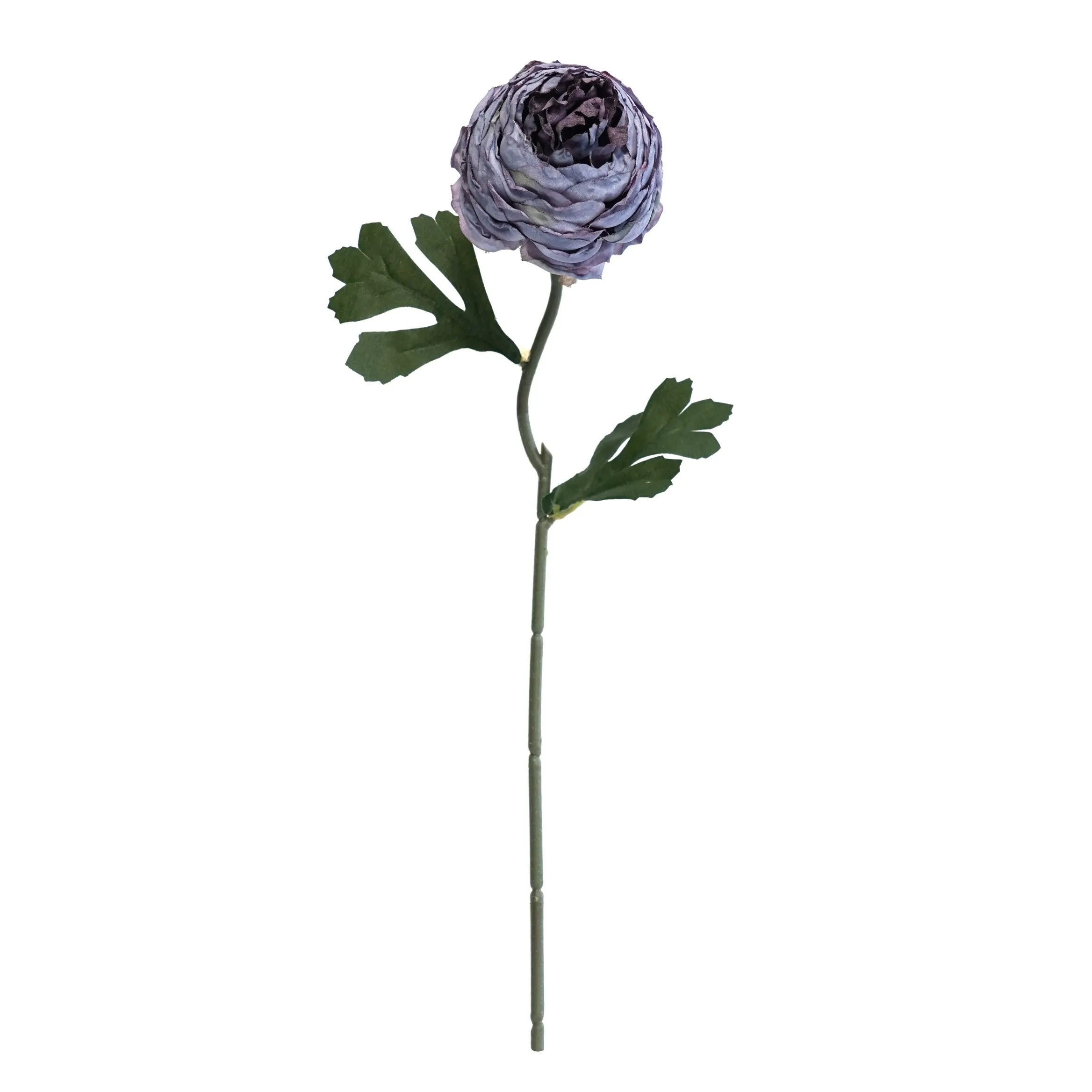 Plum teh dicincang