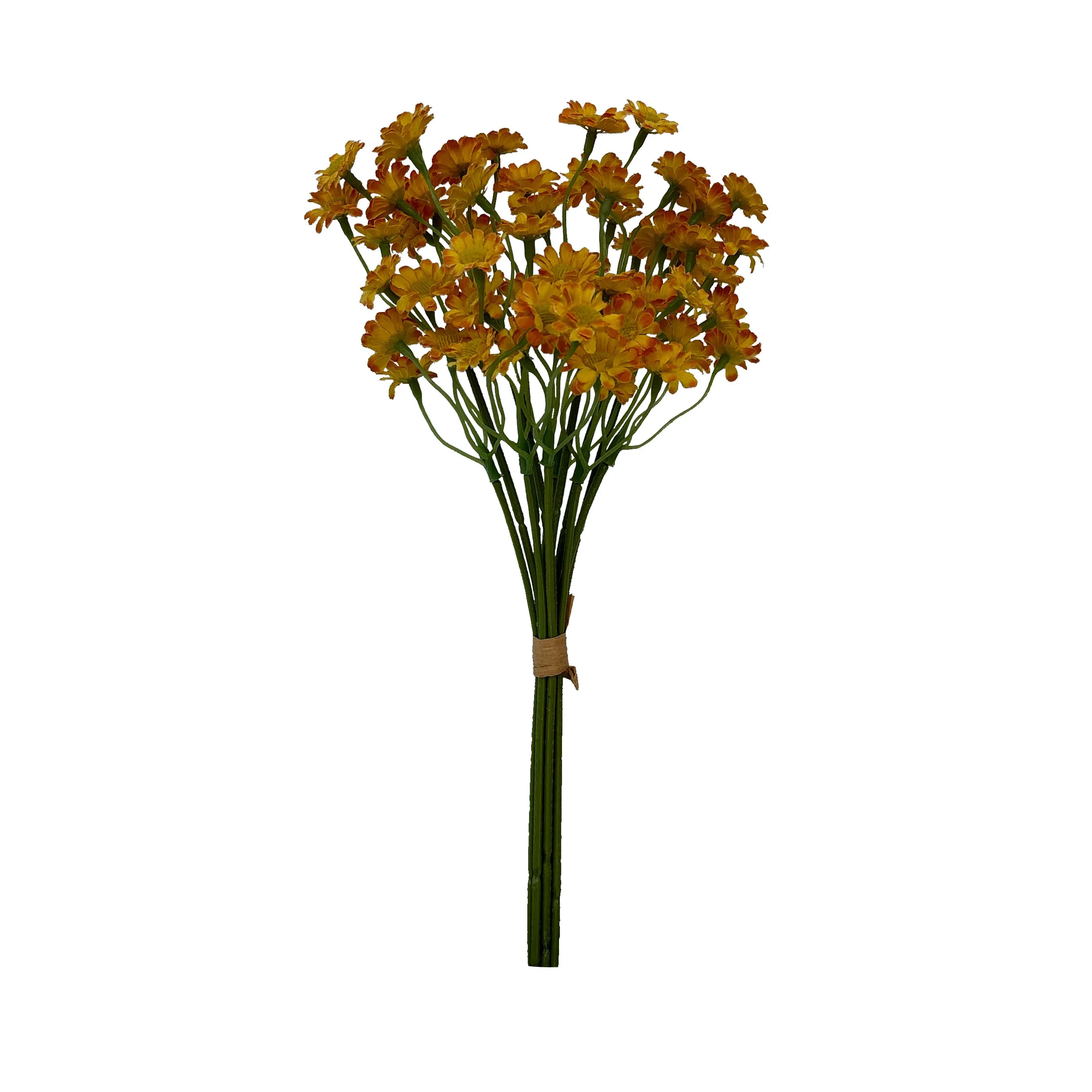 Ambil sekumpulan chamomile