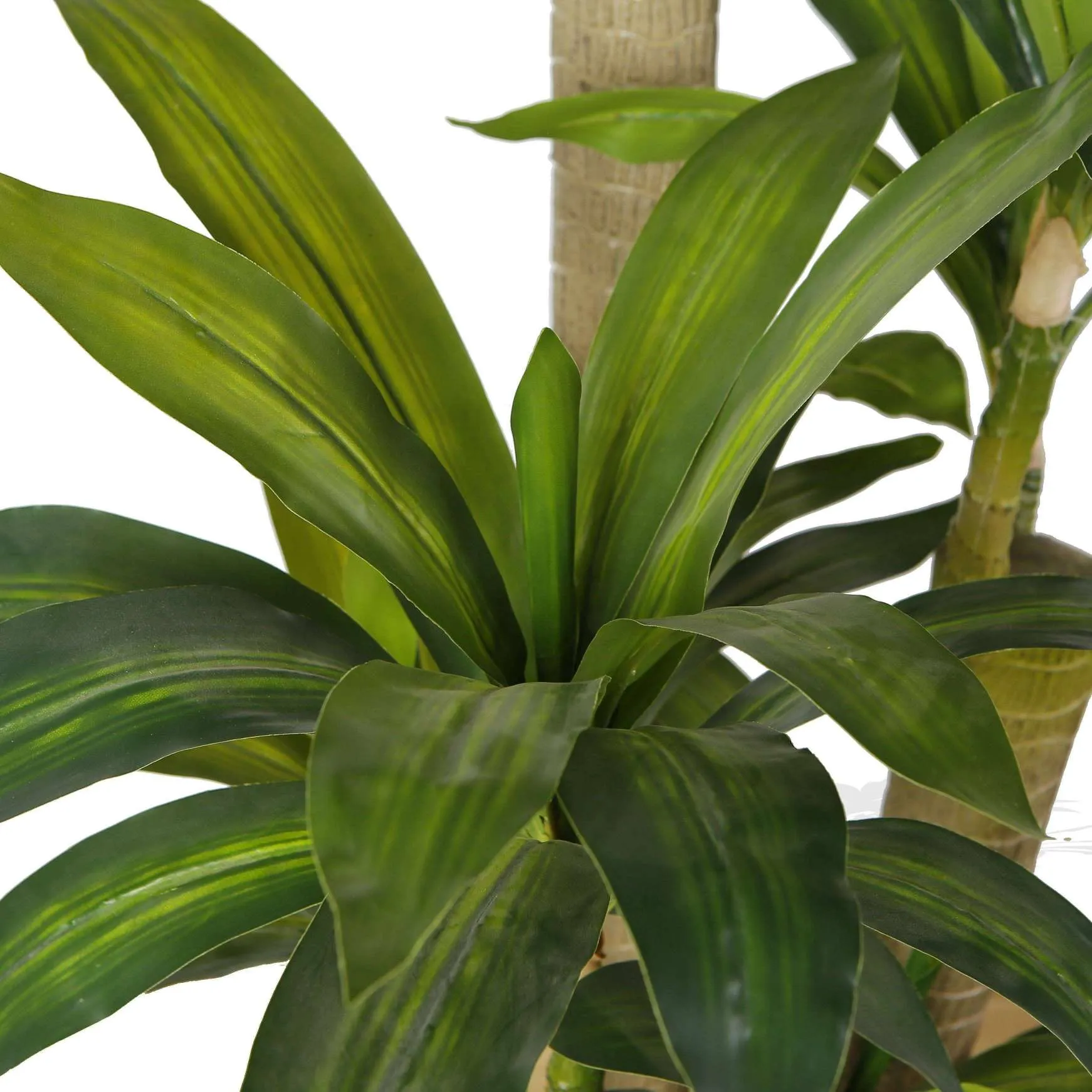 Buatan Draecena Tree Potted Plant (pelbagai saiz)