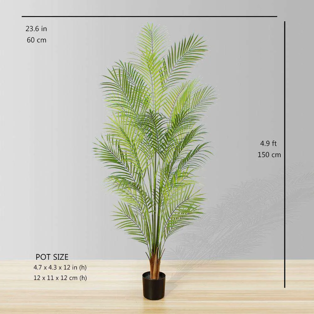 Areca Areca Palm Potted Plant