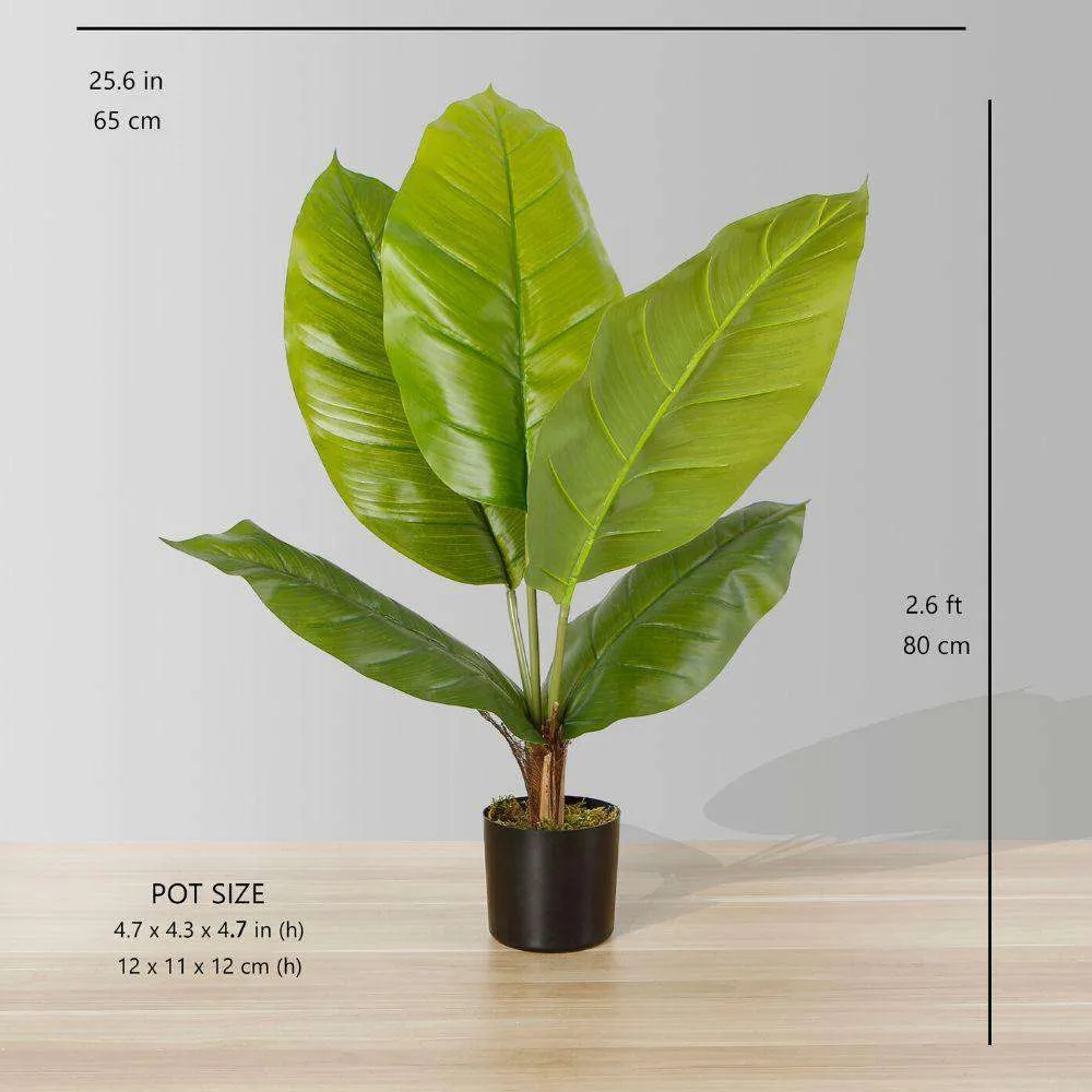 Loji Potted Spathiphyllum Buatan Spathiphyllum (pelbagai saiz)