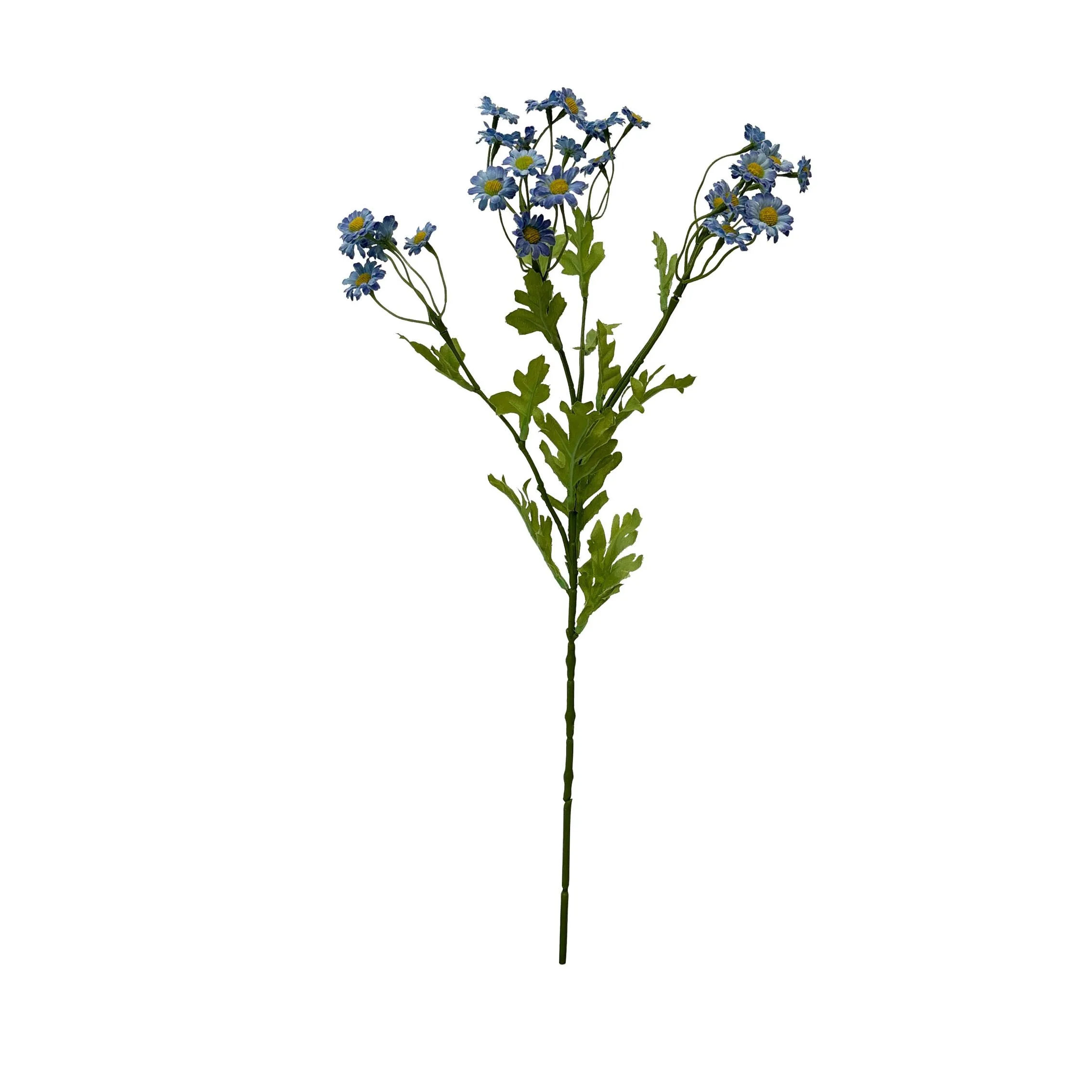 Satu hidangan darichamomile