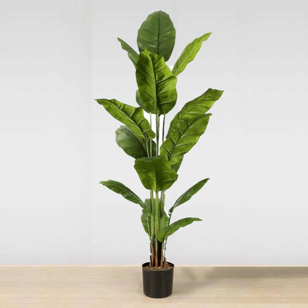 Loji Potted Spathiphyllum Buatan Spathiphyllum (pelbagai saiz)
