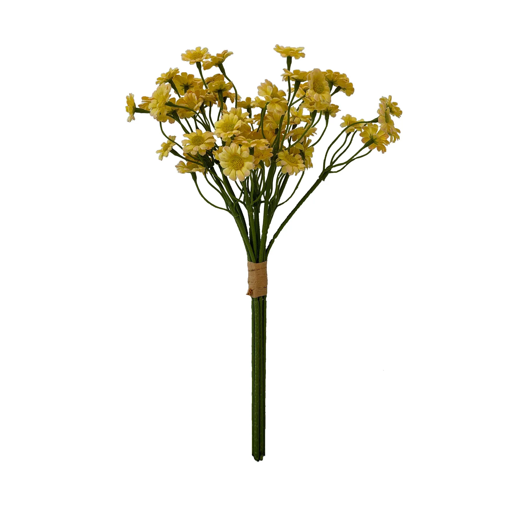 Ambil sekumpulan chamomile