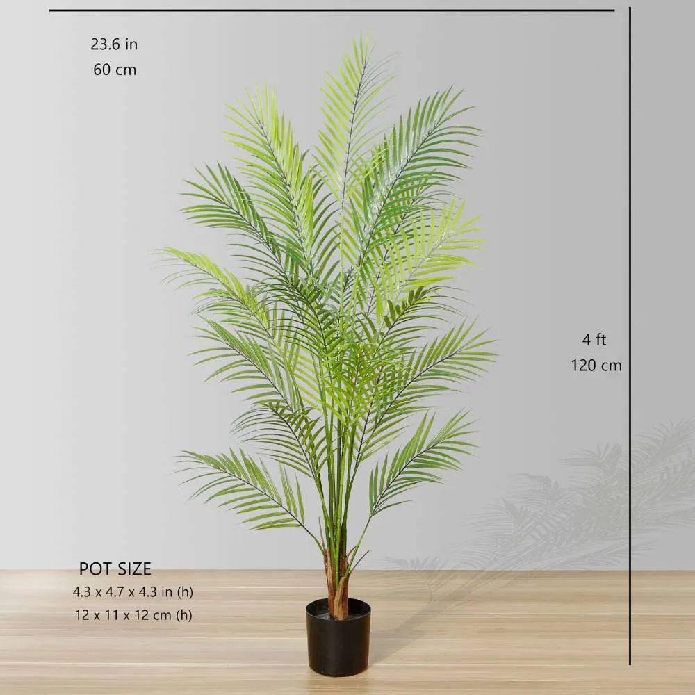 Areca Areca Palm Potted Plant