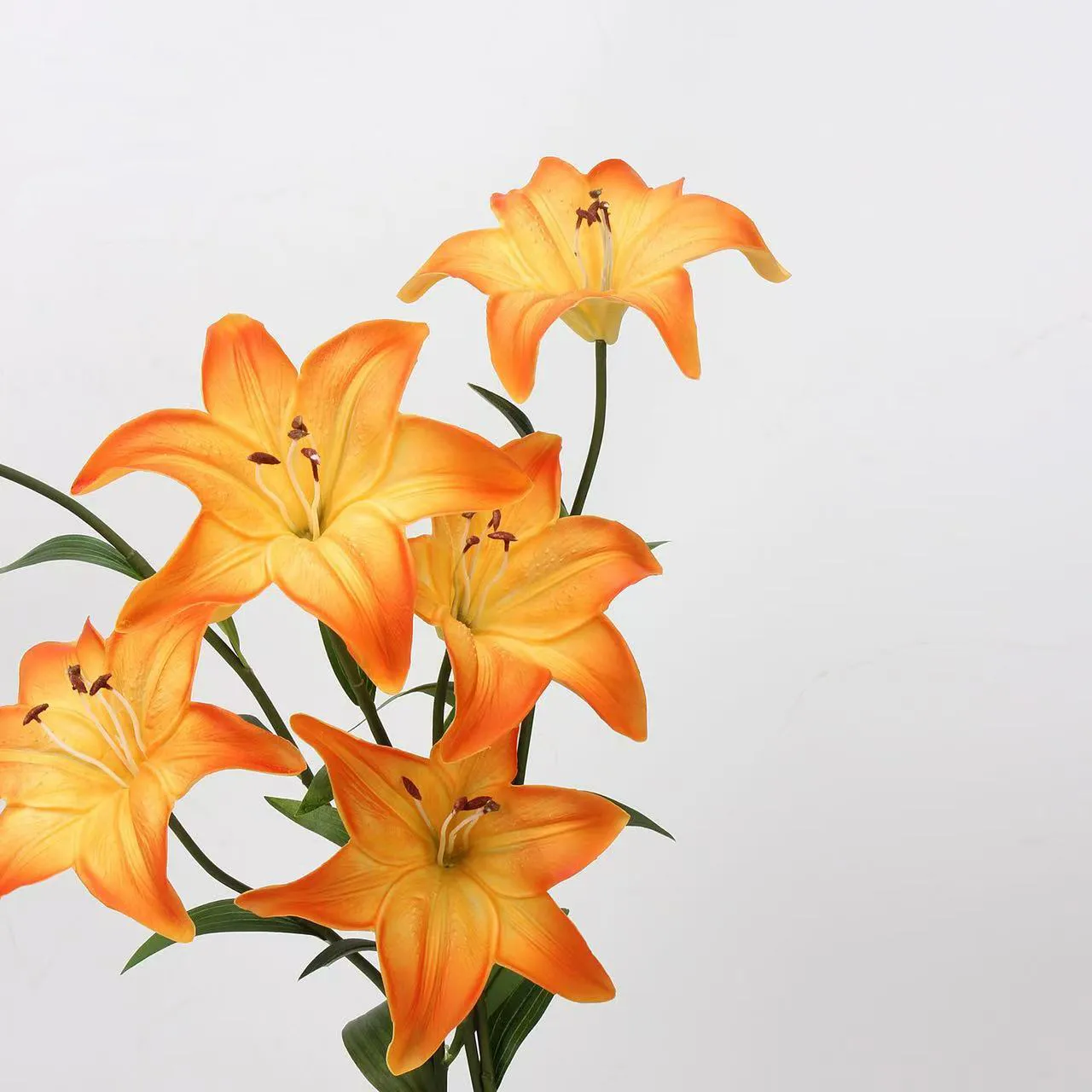 Kekasih Lily