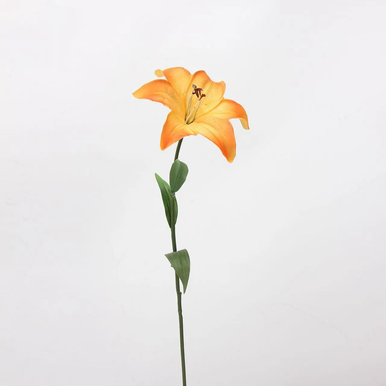 Kekasih Lily