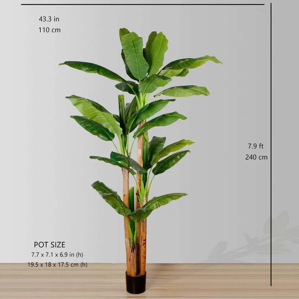 Anna Buatan Pisau Pisat Potted