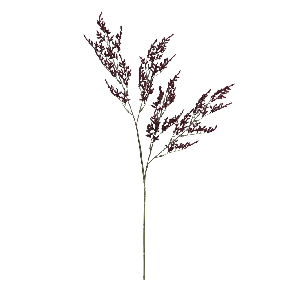 Herba kekasih tunggal