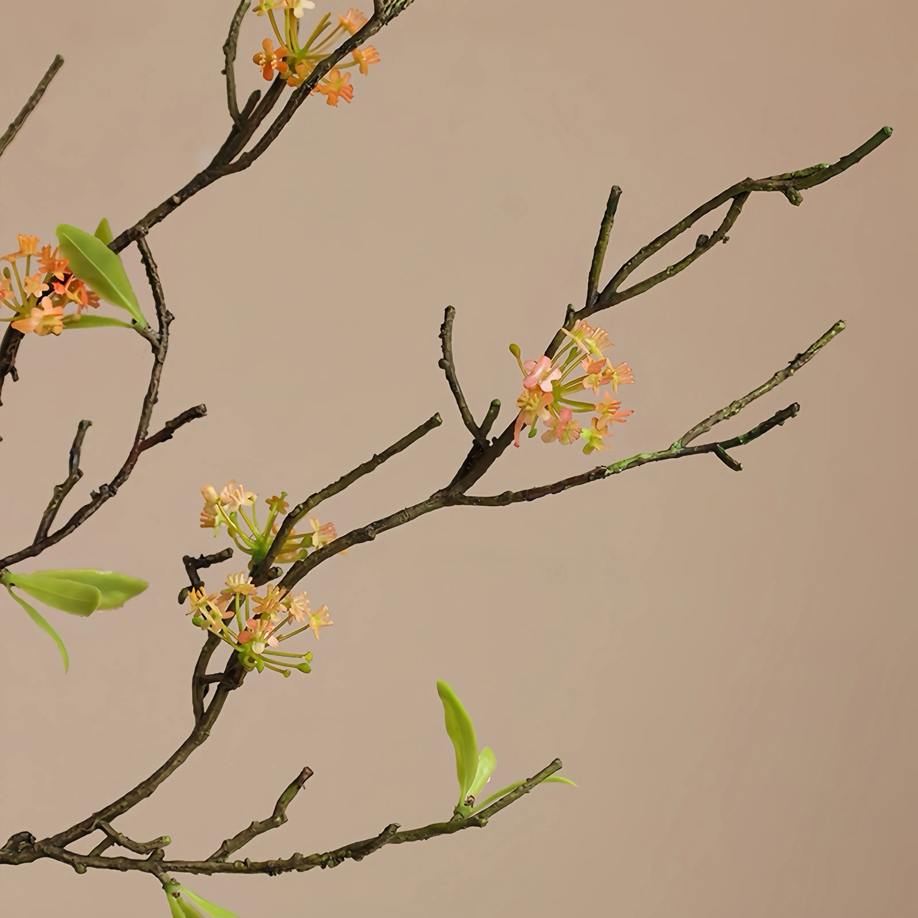 Cawangan Blossom Pear Gandum Retro Gandum