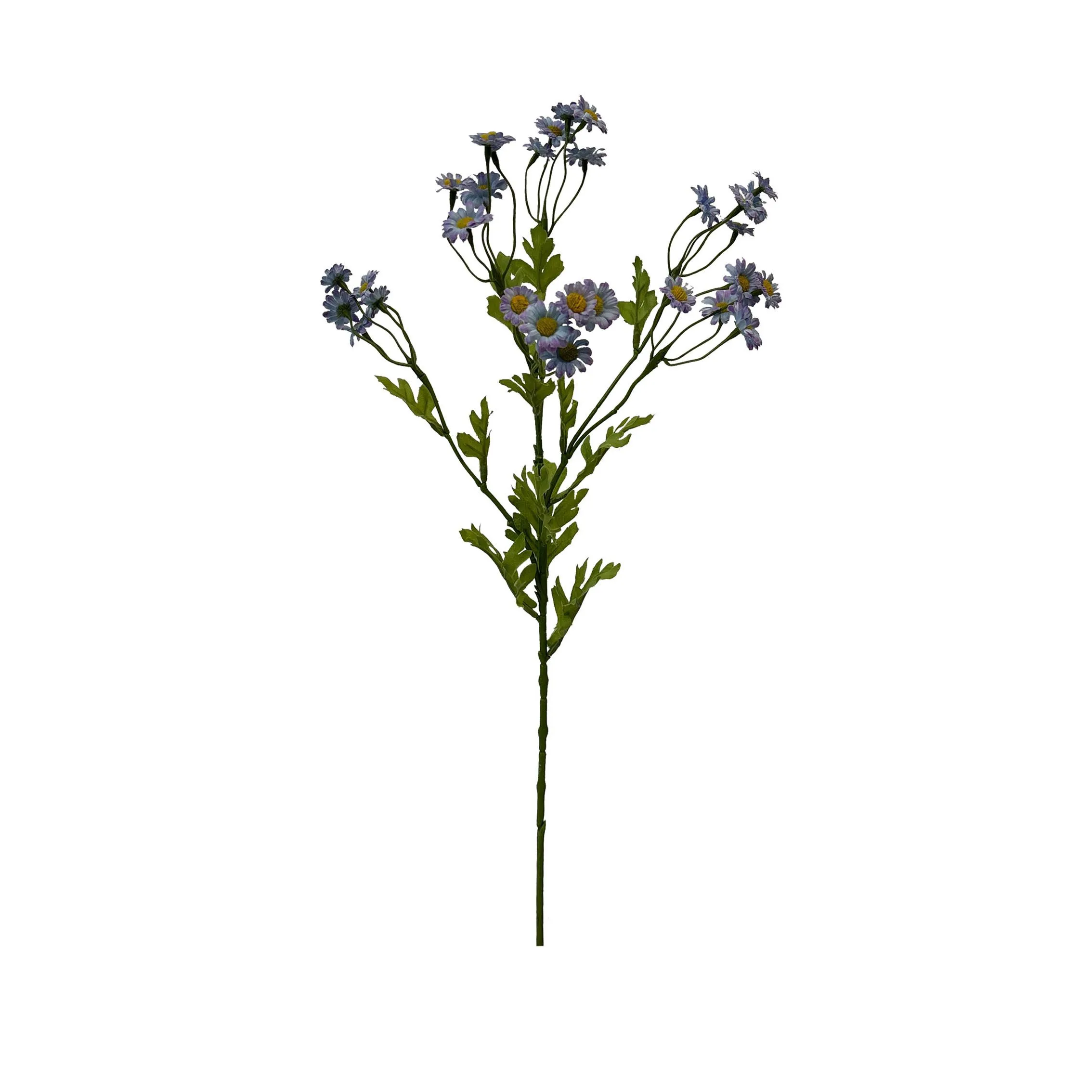 Satu hidangan darichamomile