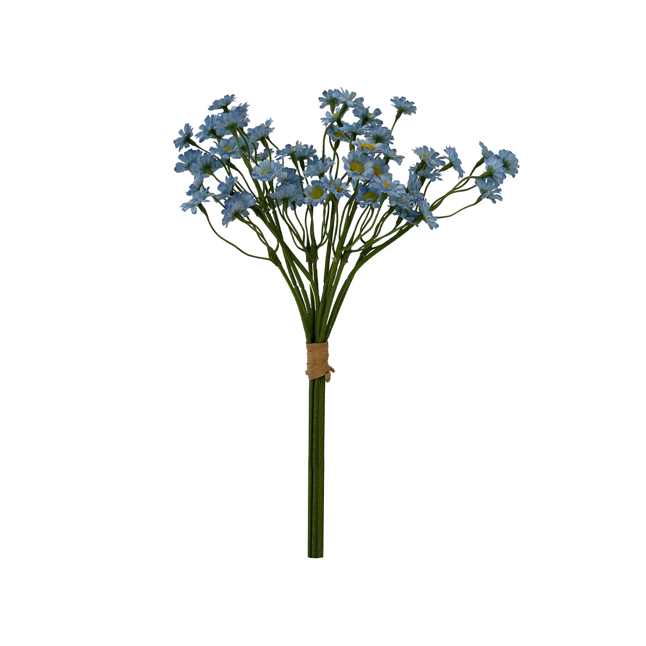 Ambil sekumpulan chamomile