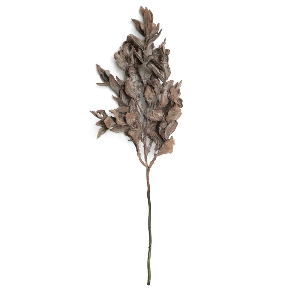 Leaf Yuanbao Branched