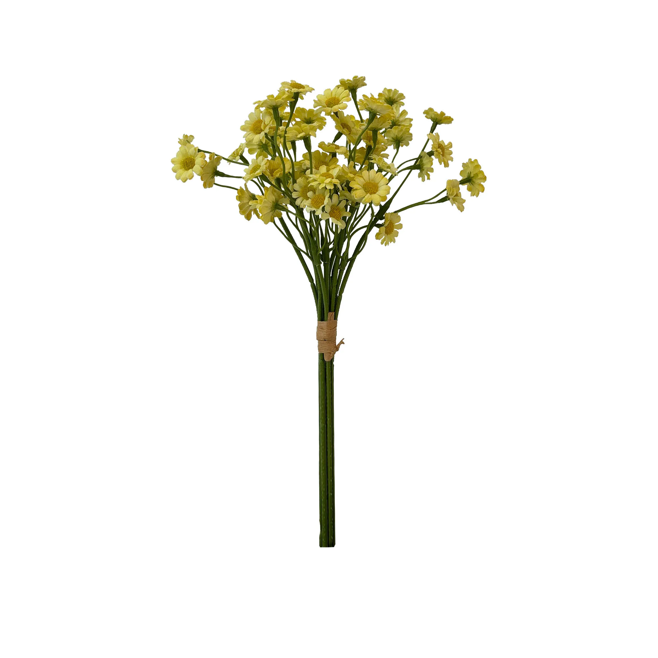 Ambil sekumpulan chamomile