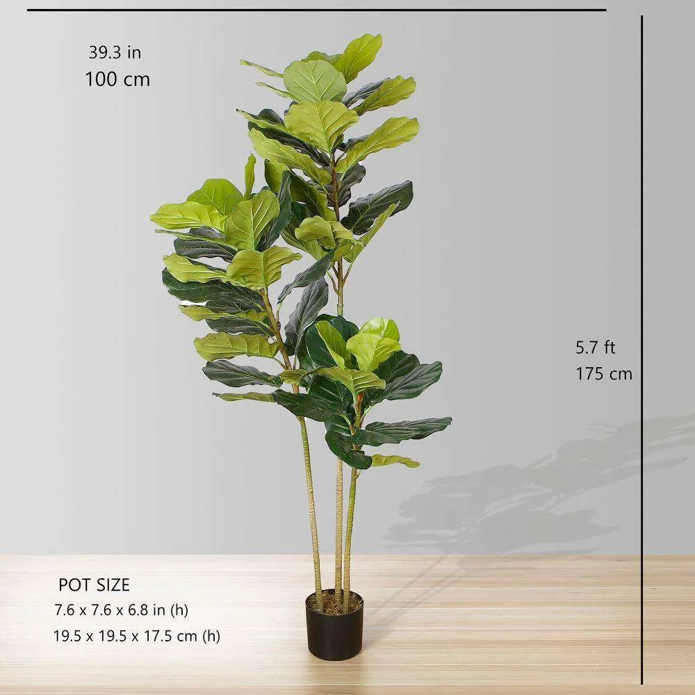 Lyrata Buatan Biasa Loji Potted (pelbagai saiz)