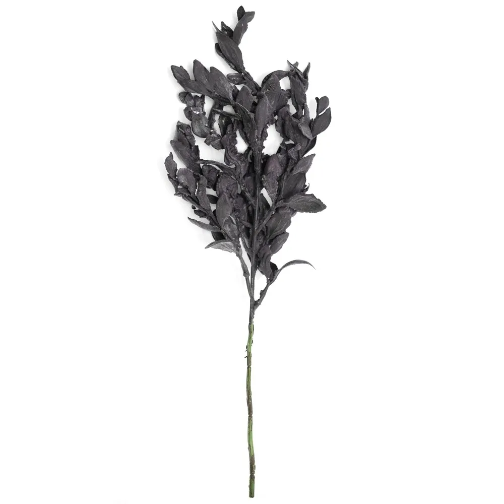 Leaf Yuanbao Branched