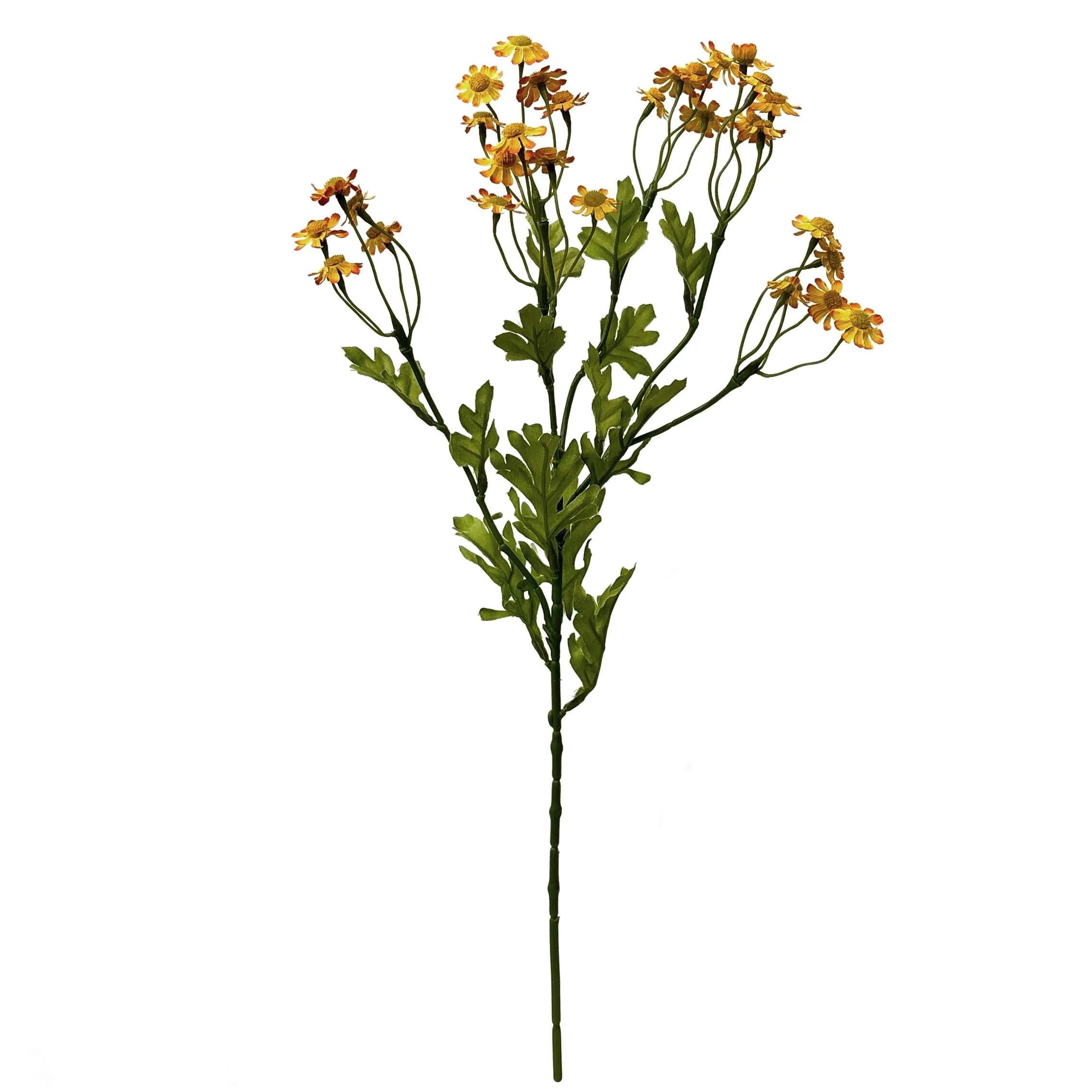 Satu daisy kecil