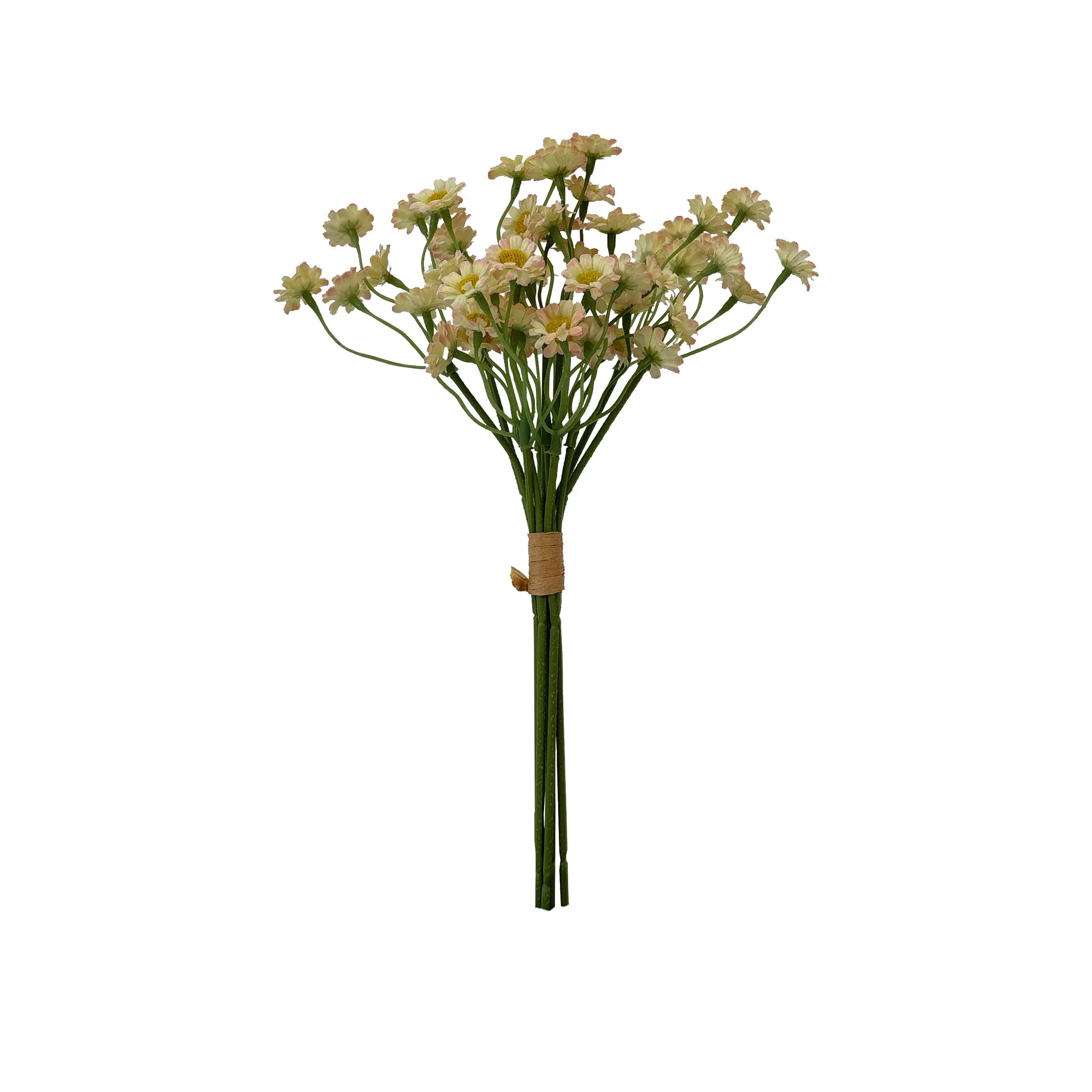 Ambil sekumpulan chamomile