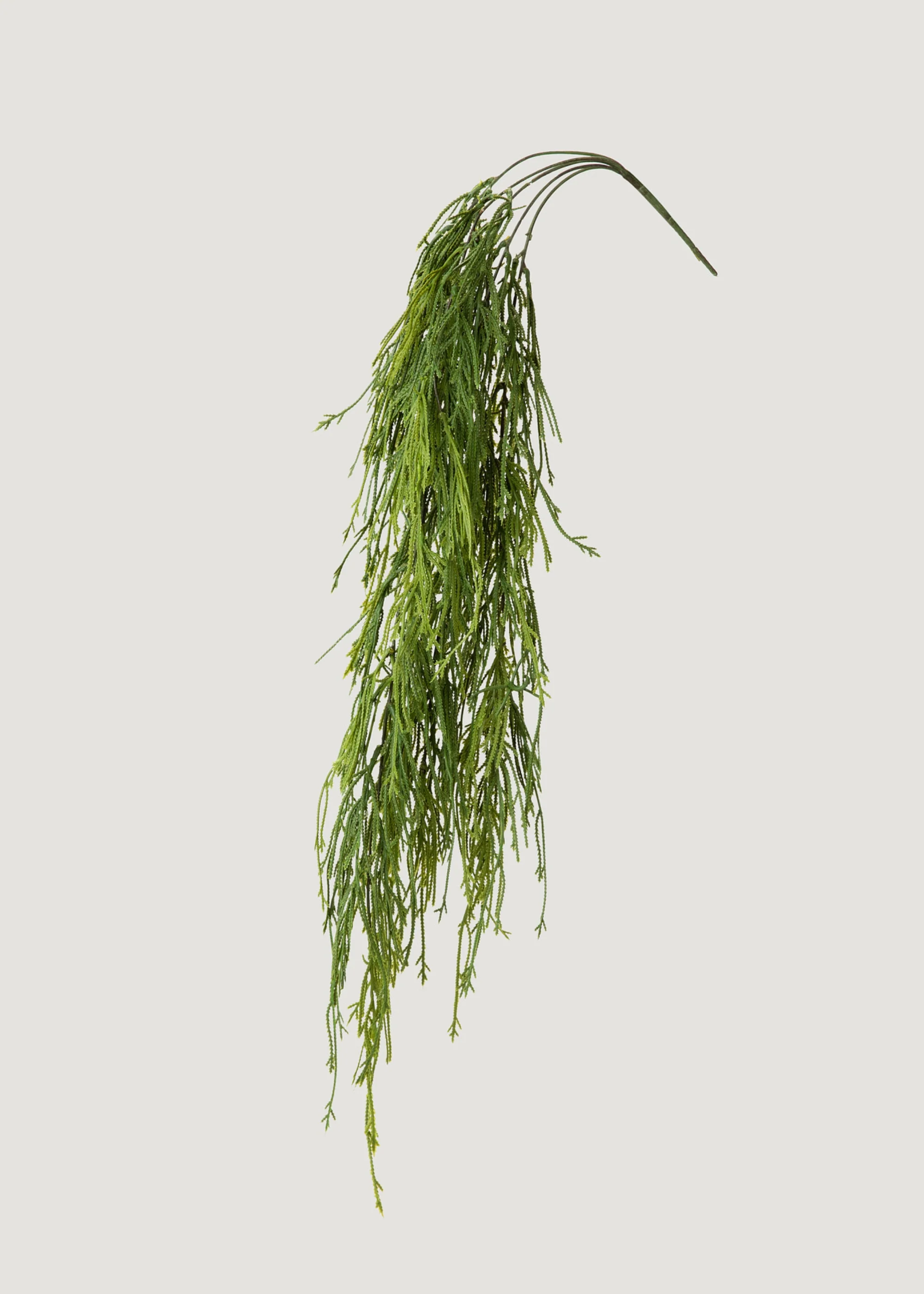 Indoor_outdoor Loji Fern Hanging Lucah Palsu Bermula dari 100