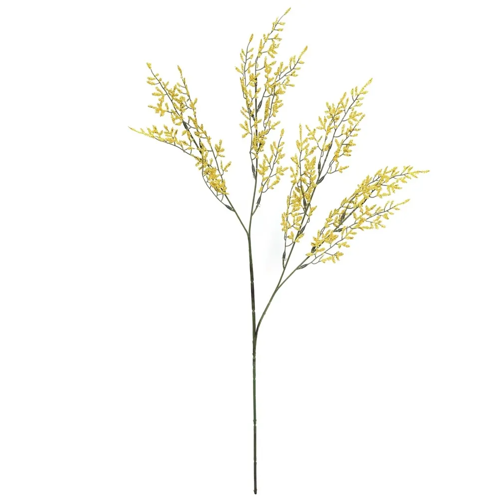 Herba kekasih tunggal