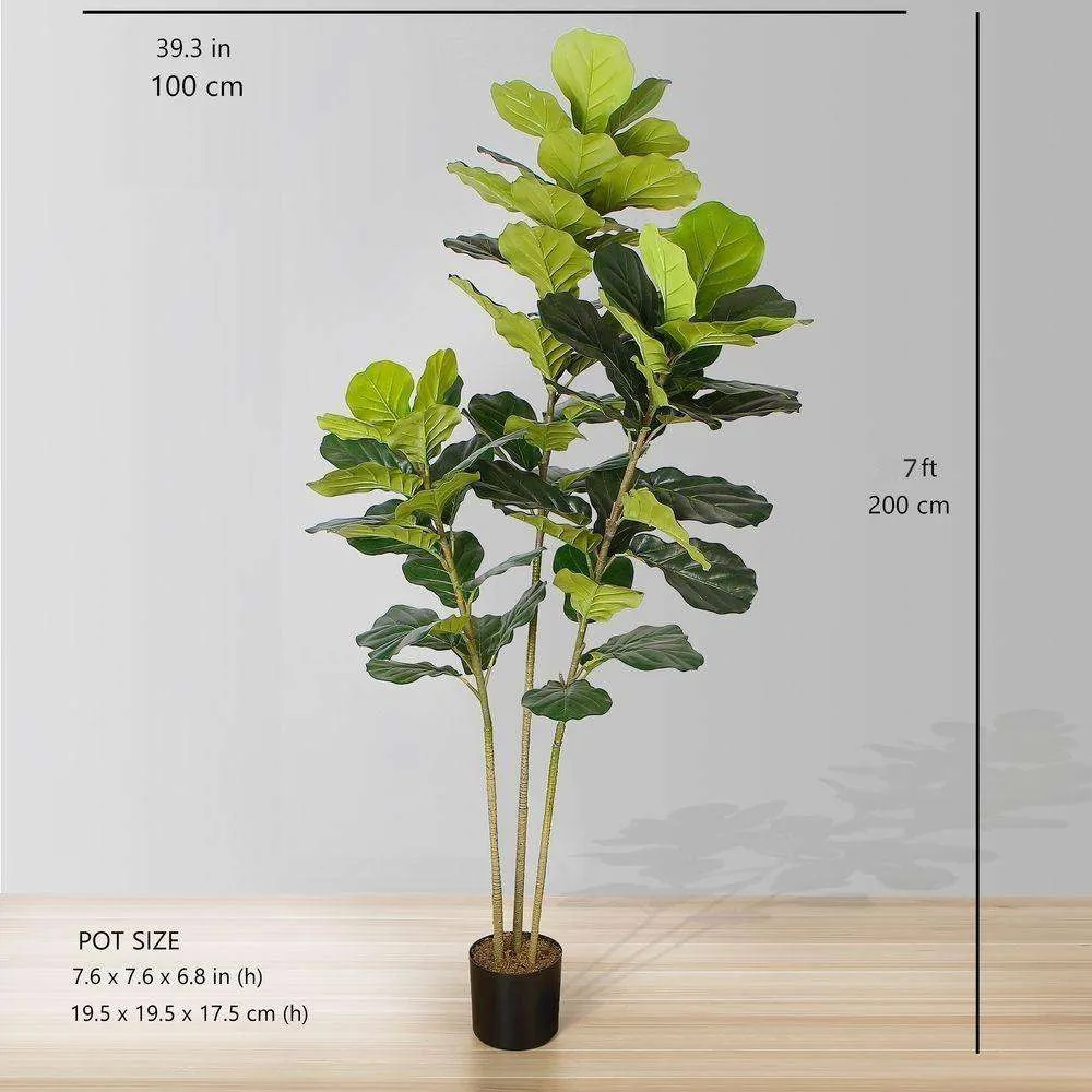 Lyrata Buatan Biasa Loji Potted (pelbagai saiz)