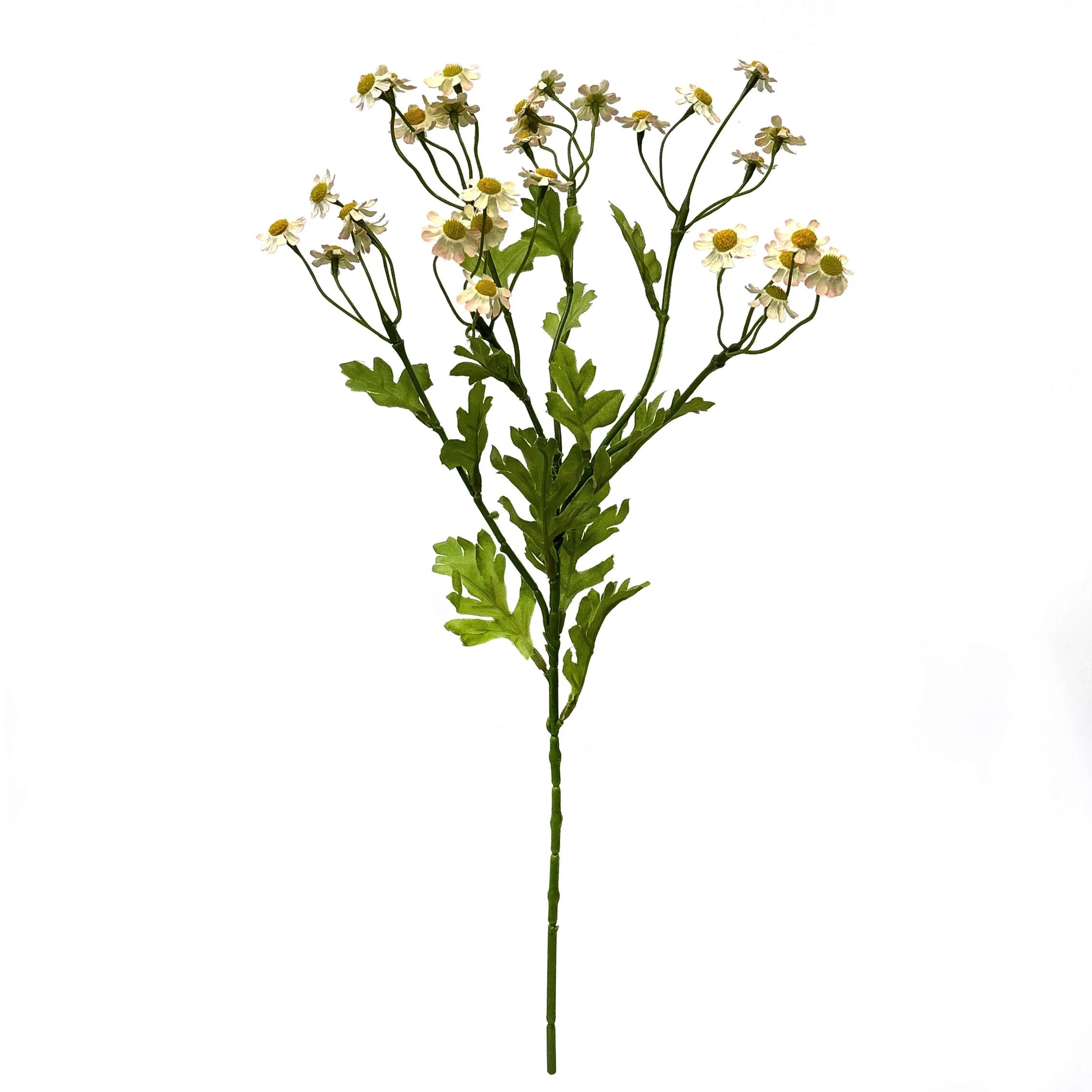 Satu daisy kecil