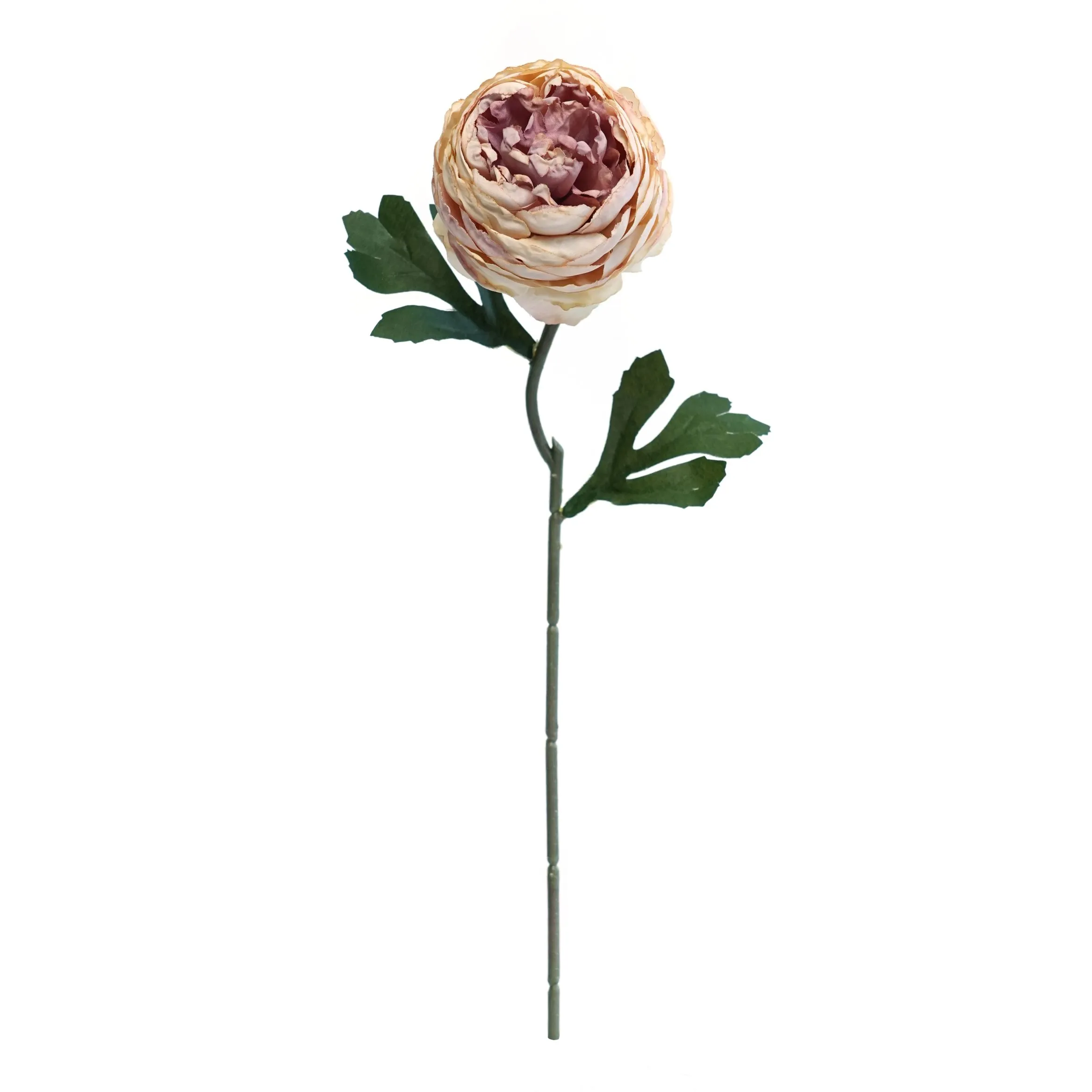 Plum teh dicincang