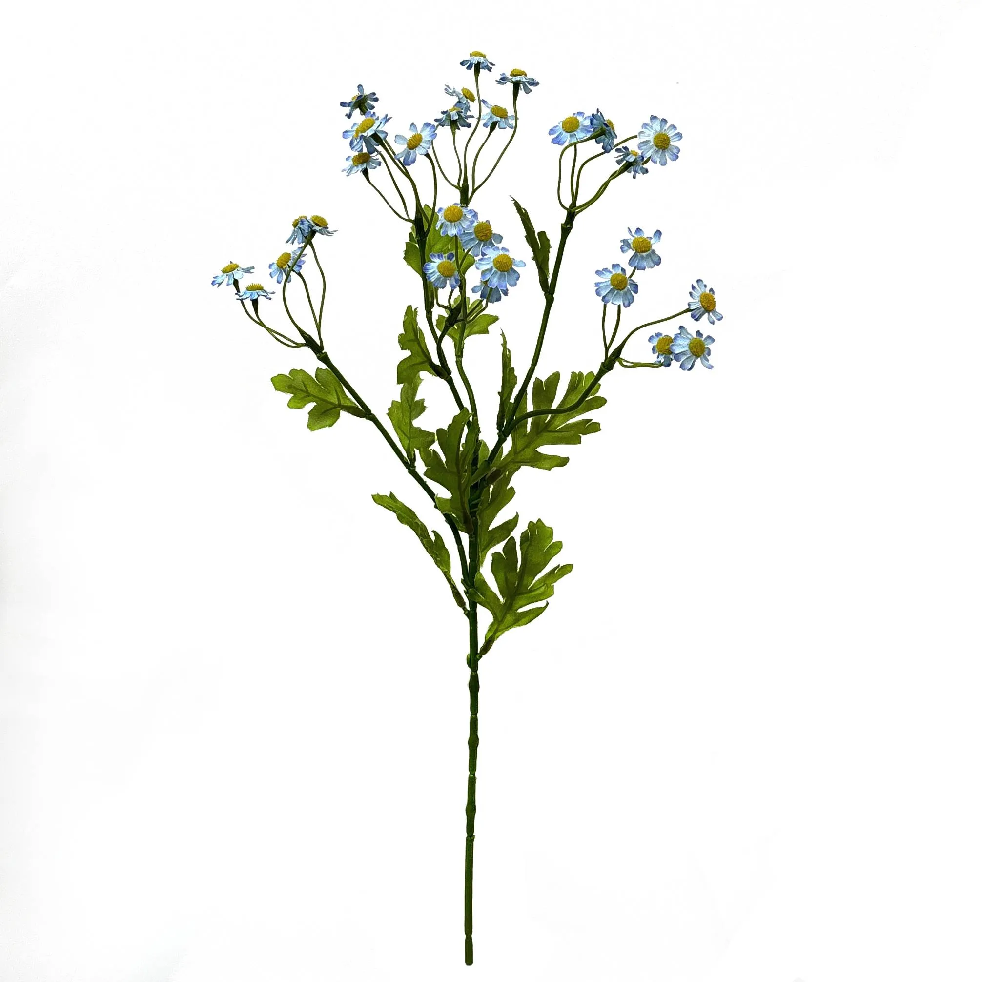 Satu daisy kecil