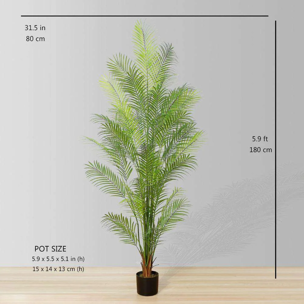 Areca Areca Palm Potted Plant
