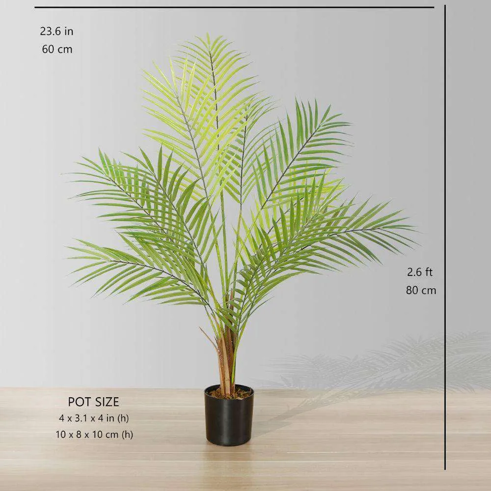 Areca Areca Palm Potted Plant