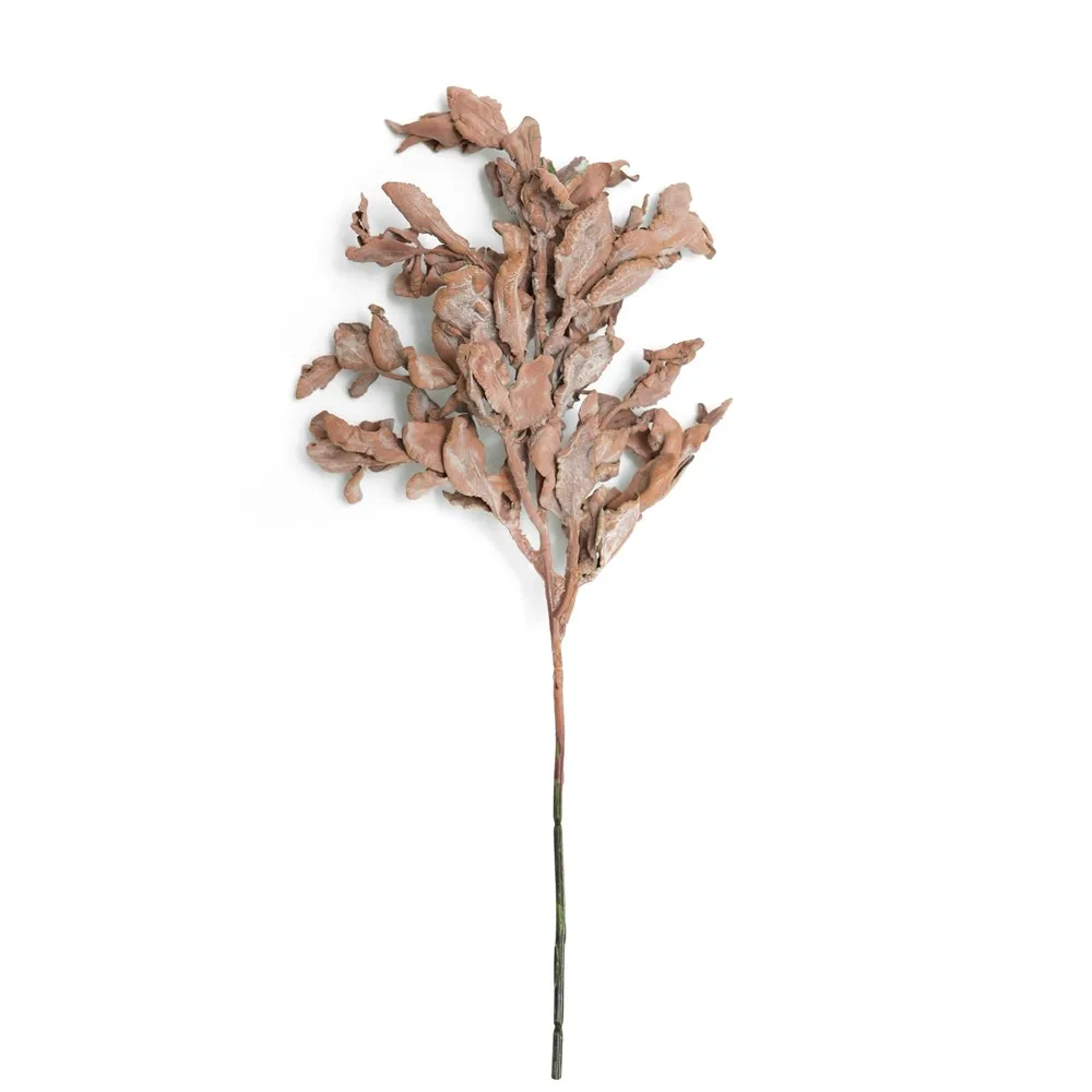 Leaf Yuanbao Branched