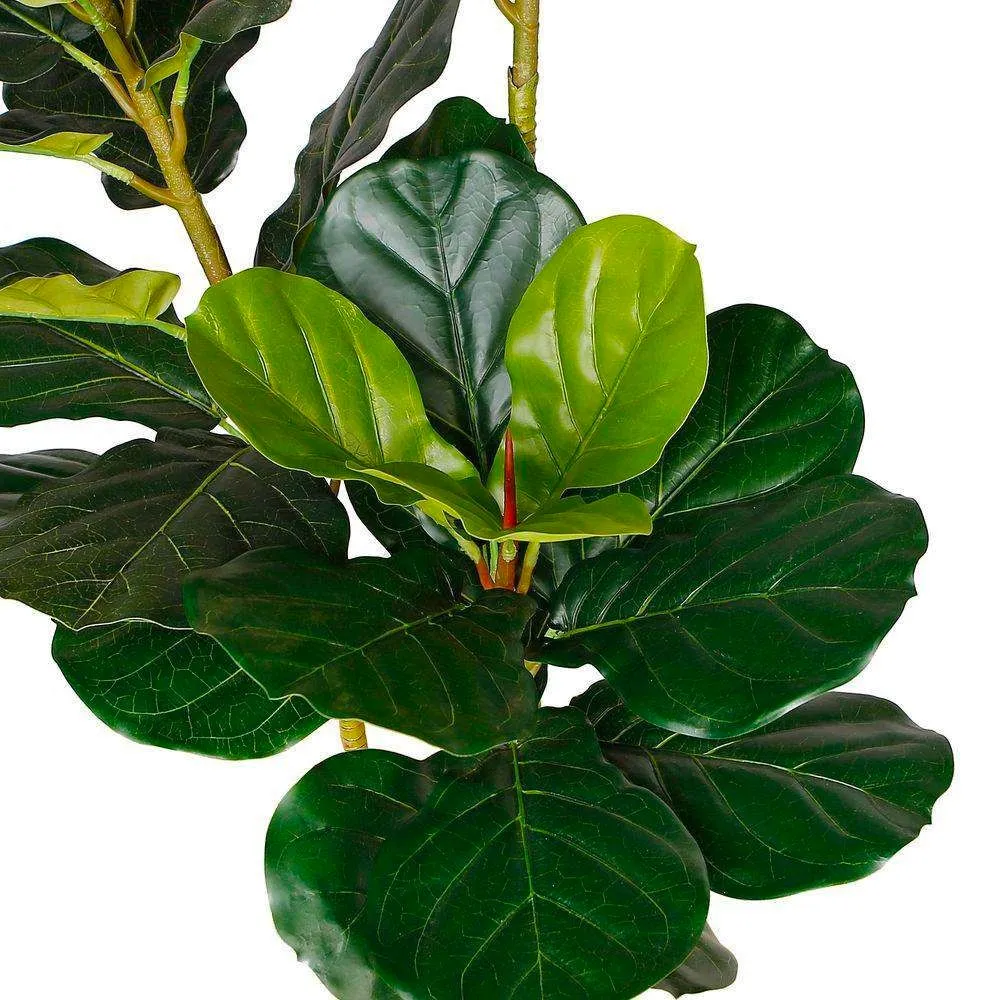 Lyrata Buatan Biasa Loji Potted (pelbagai saiz)