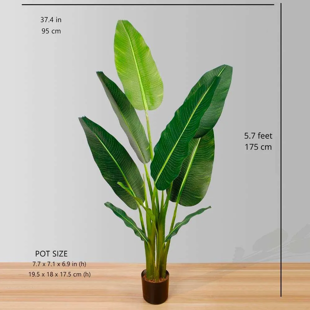 Pelancong Buatan Tapak Palm Potted
